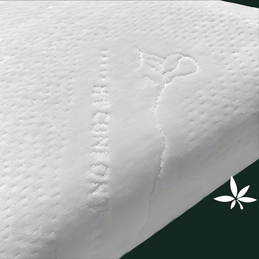 PACK 3 TAIES OREILLER VELOURS blanche - HT CONFORT