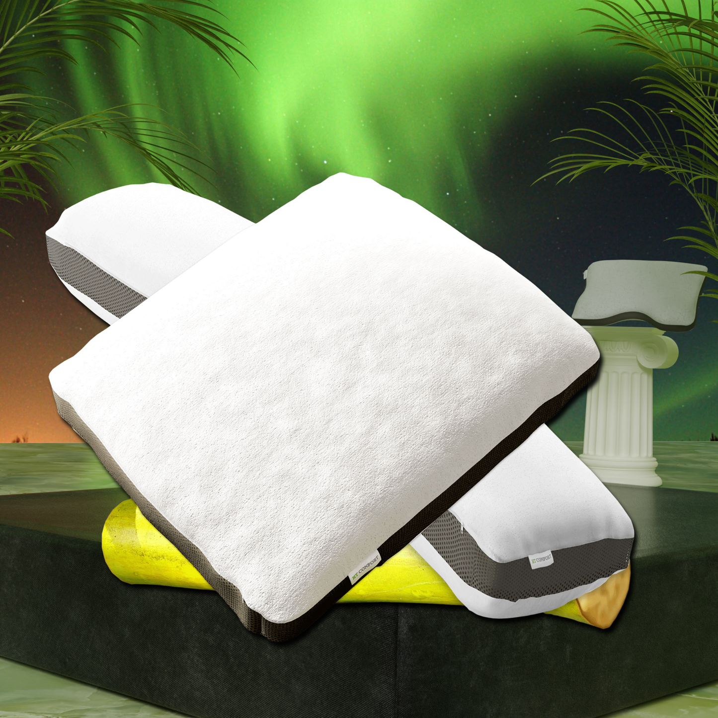 PACK PROMO 2 OREILLERS Bambou